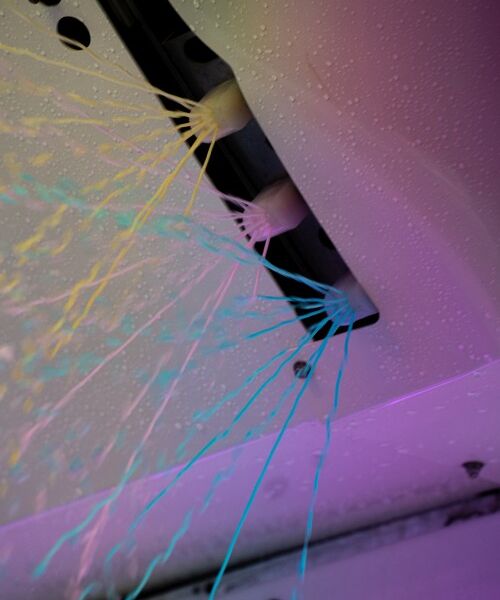 20230208-LEO04467 (1)